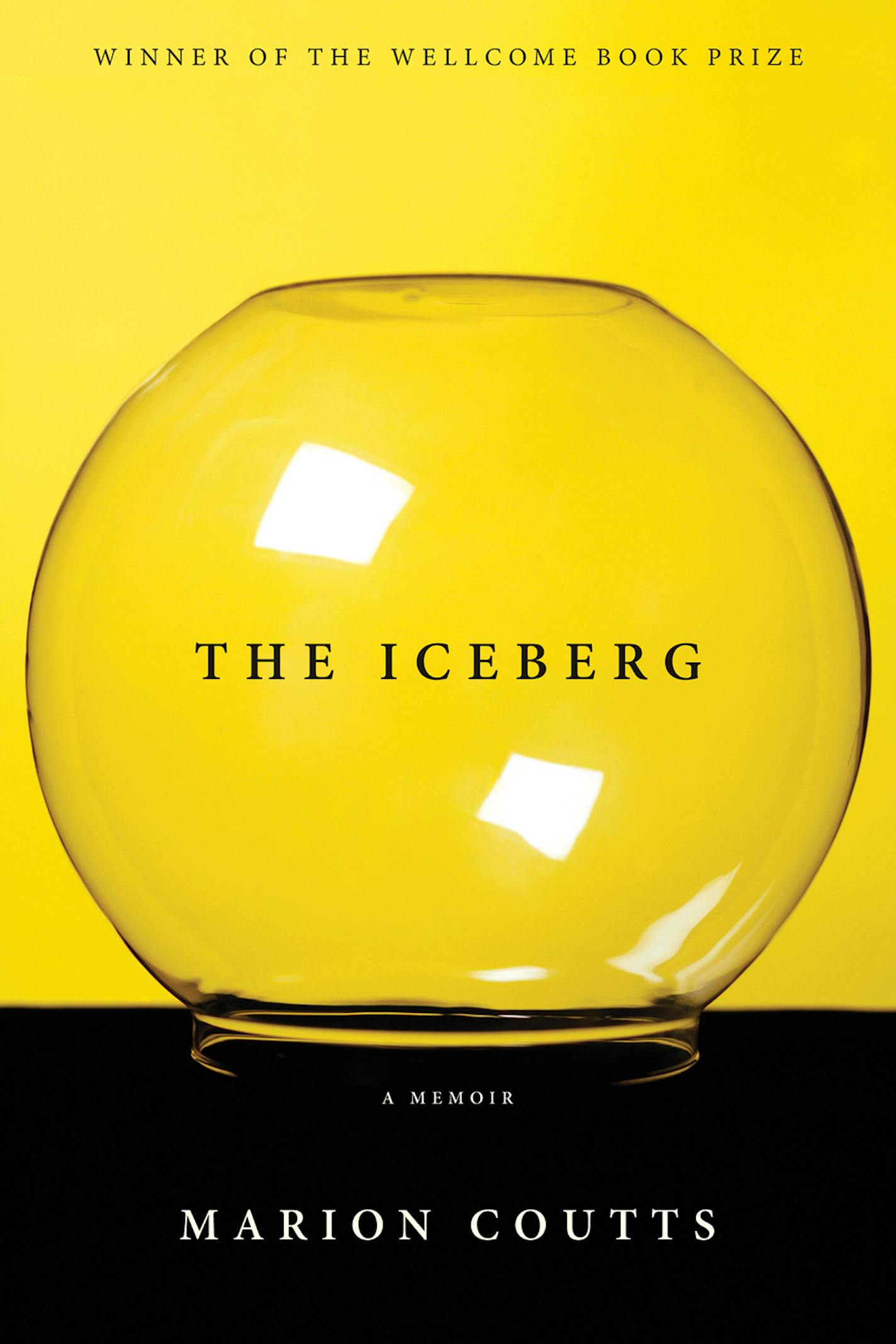 "The Iceberg," by Marion Coutts