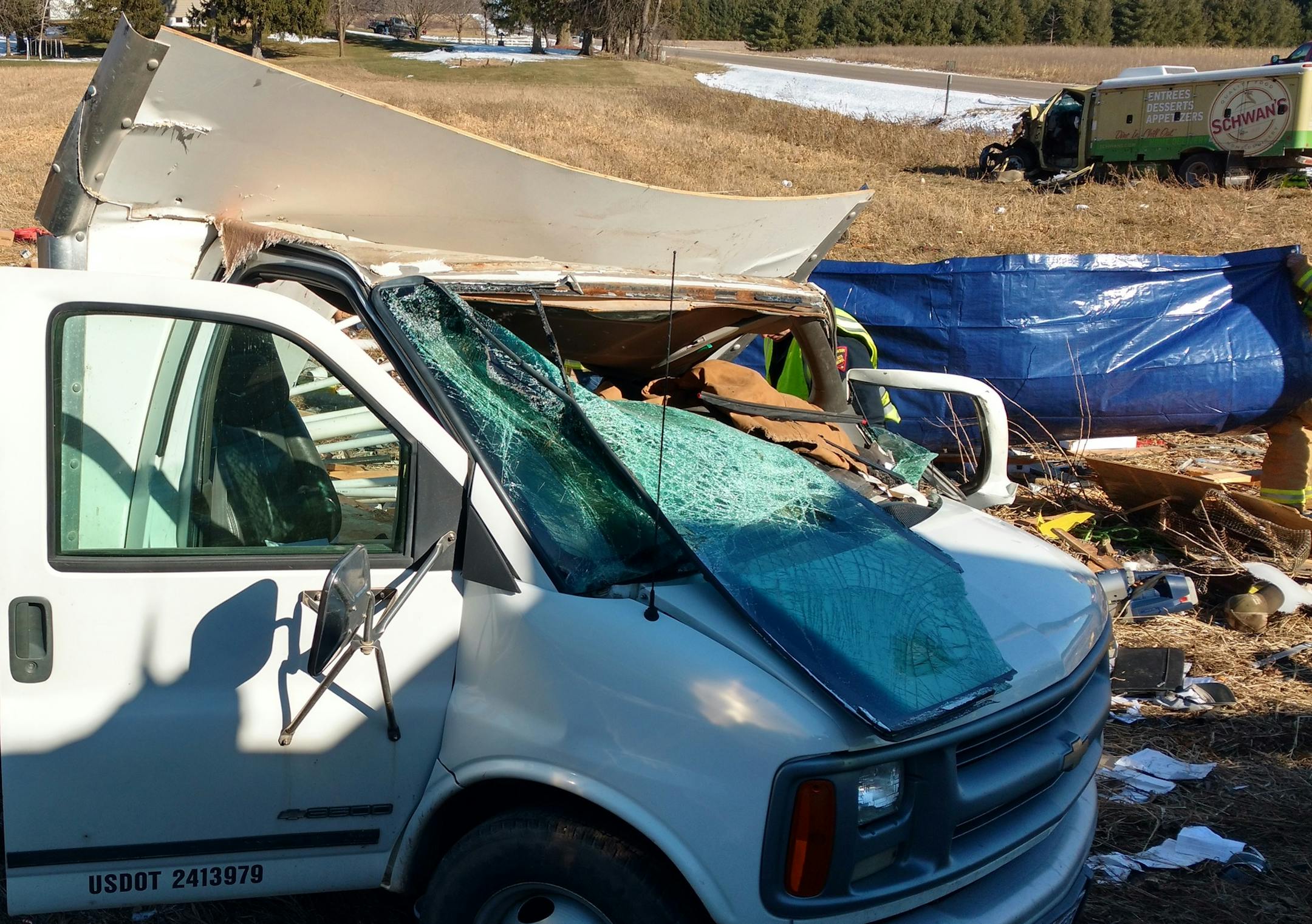 The driver in the white van was killed in collision with a Schwan's delivery vehicle.