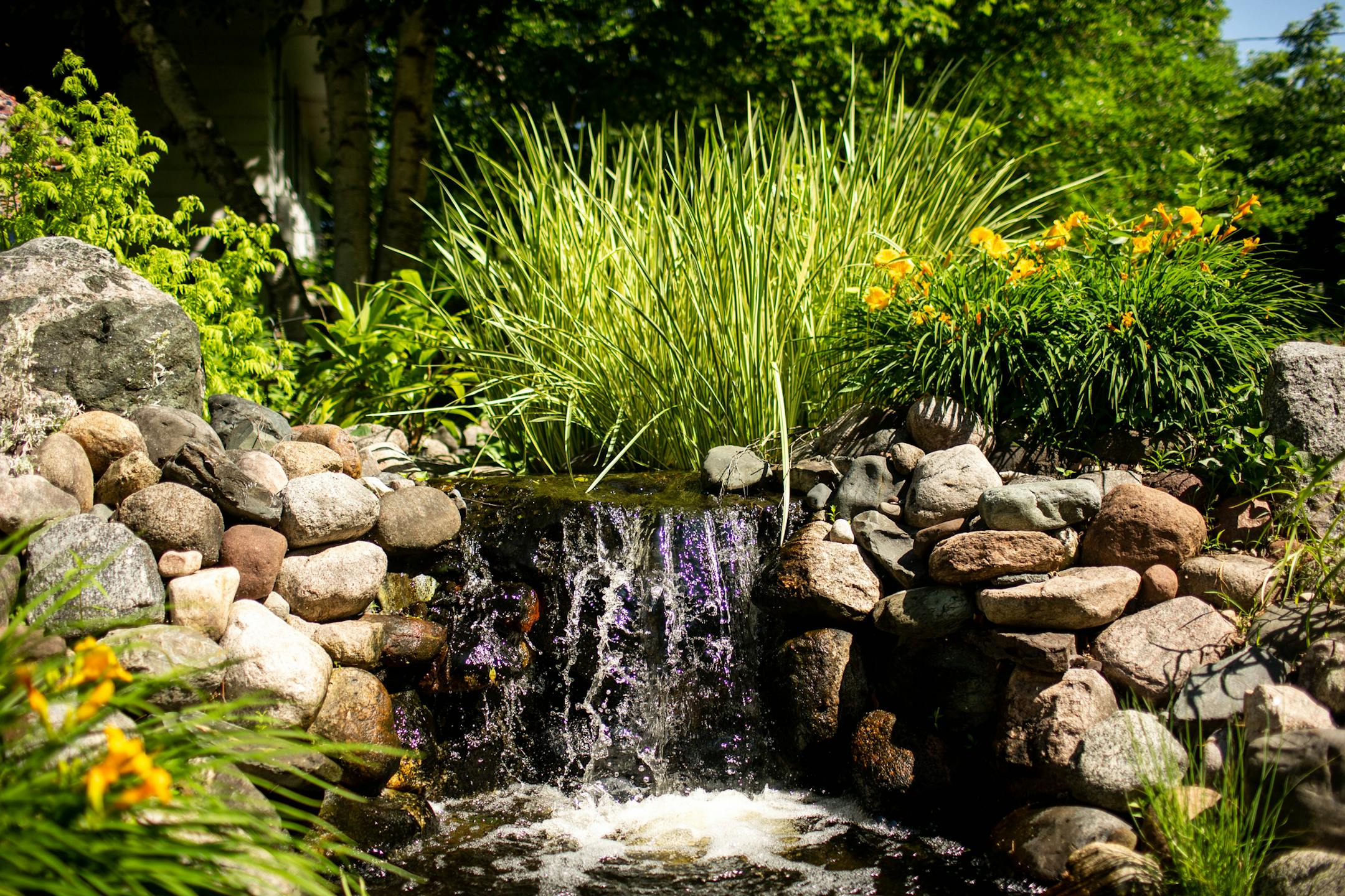 A bog flows into multiple pondless waterfalls in Candace McClenahan's Bloomington water garden