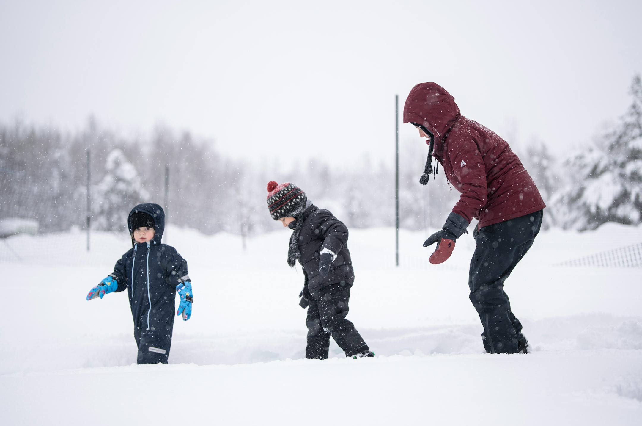 From the left; Ogimaagaabaw Patrick Linehan, Gizhibaabines Morris Trimble, and Niizhwaasangookwe Miigis Gonzalez walked in snowshoes to check on rabbit snares.