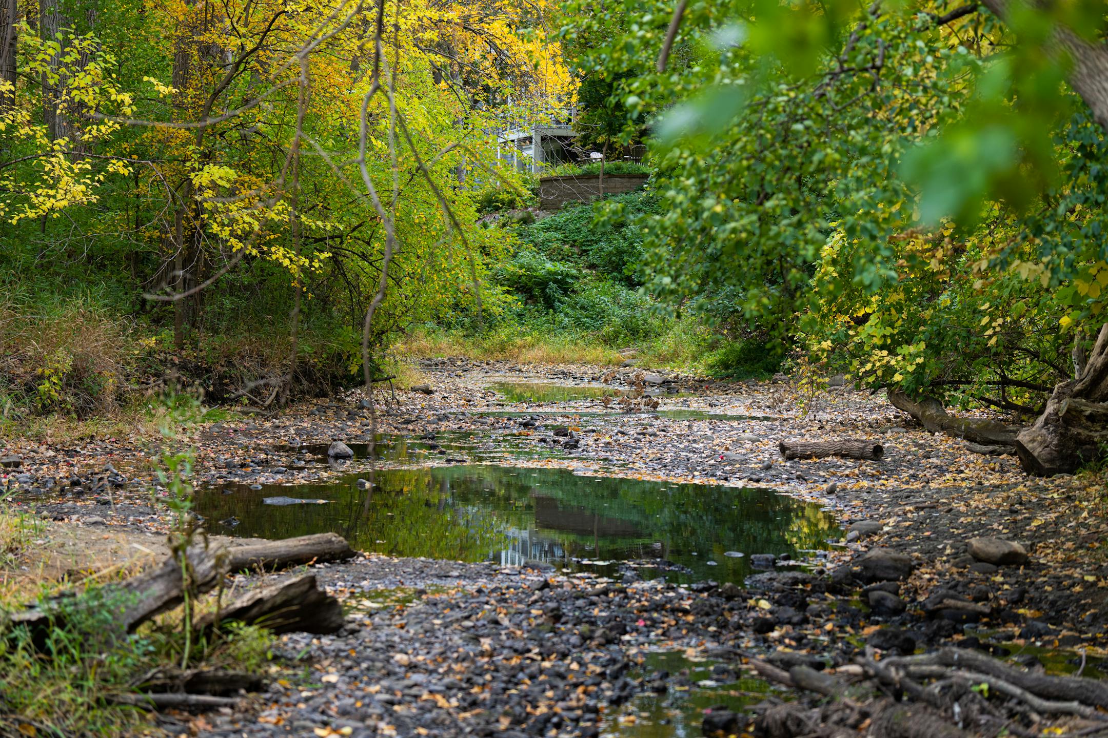 Small pools of Minnehaha Creek in Edina, Minn.