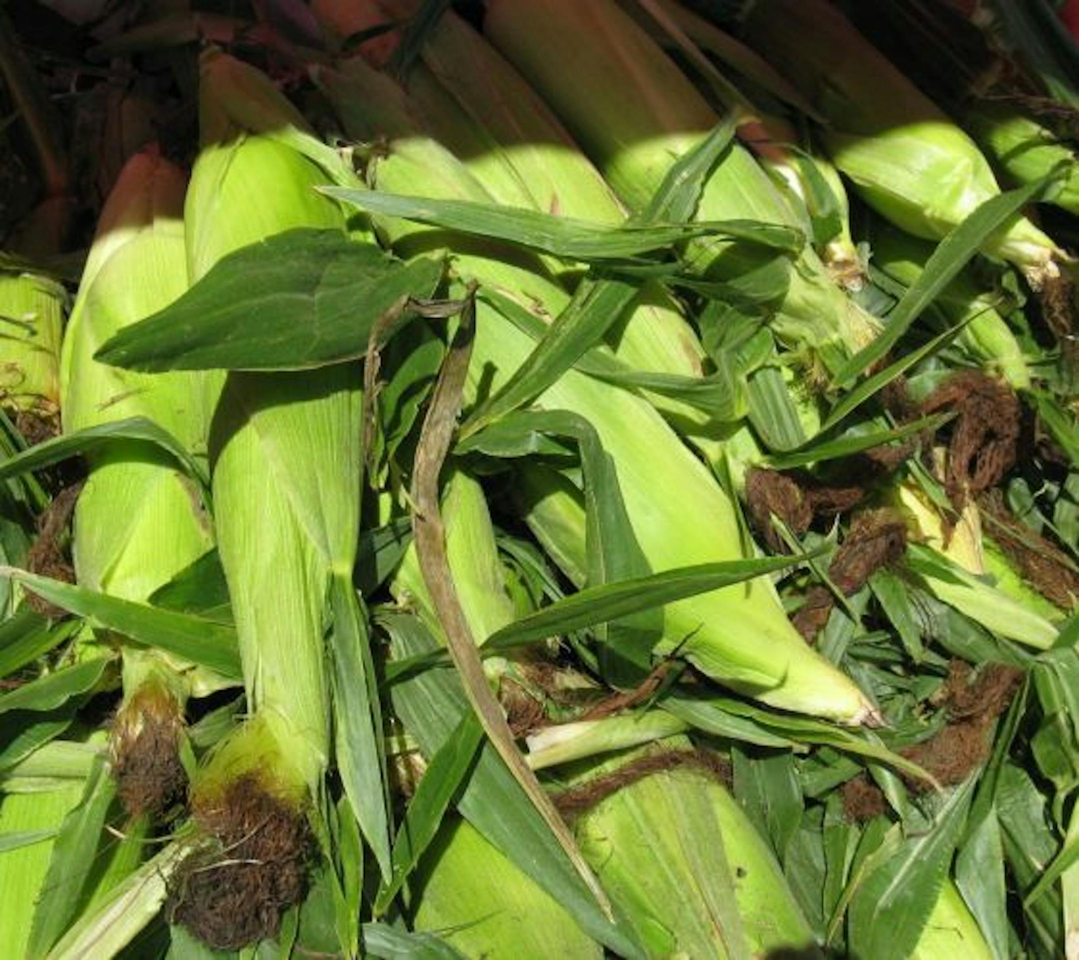 Sweet corn from Hansen's at the Bloomington Farmers Market.