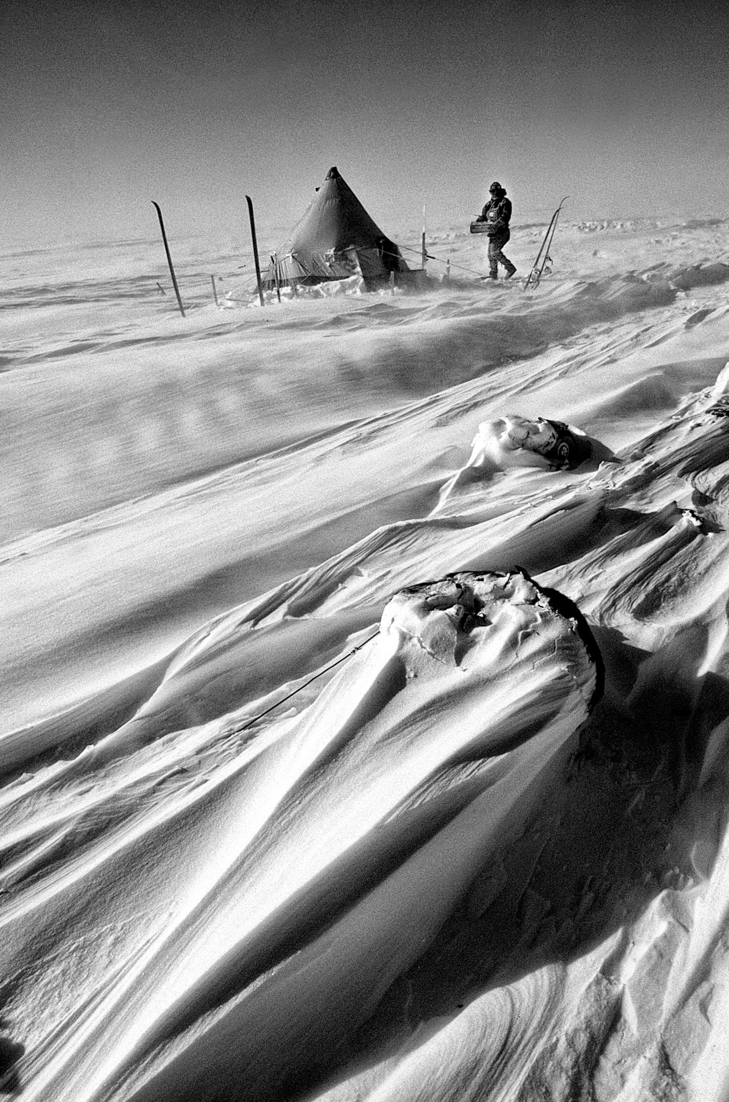 Sculptured snow ridges form overnight around the sleeping sled dogs. Photo by Per Breiehaugen