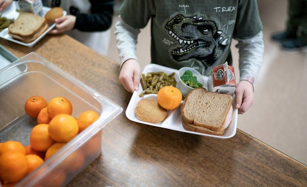 Child holds tray of school lunch