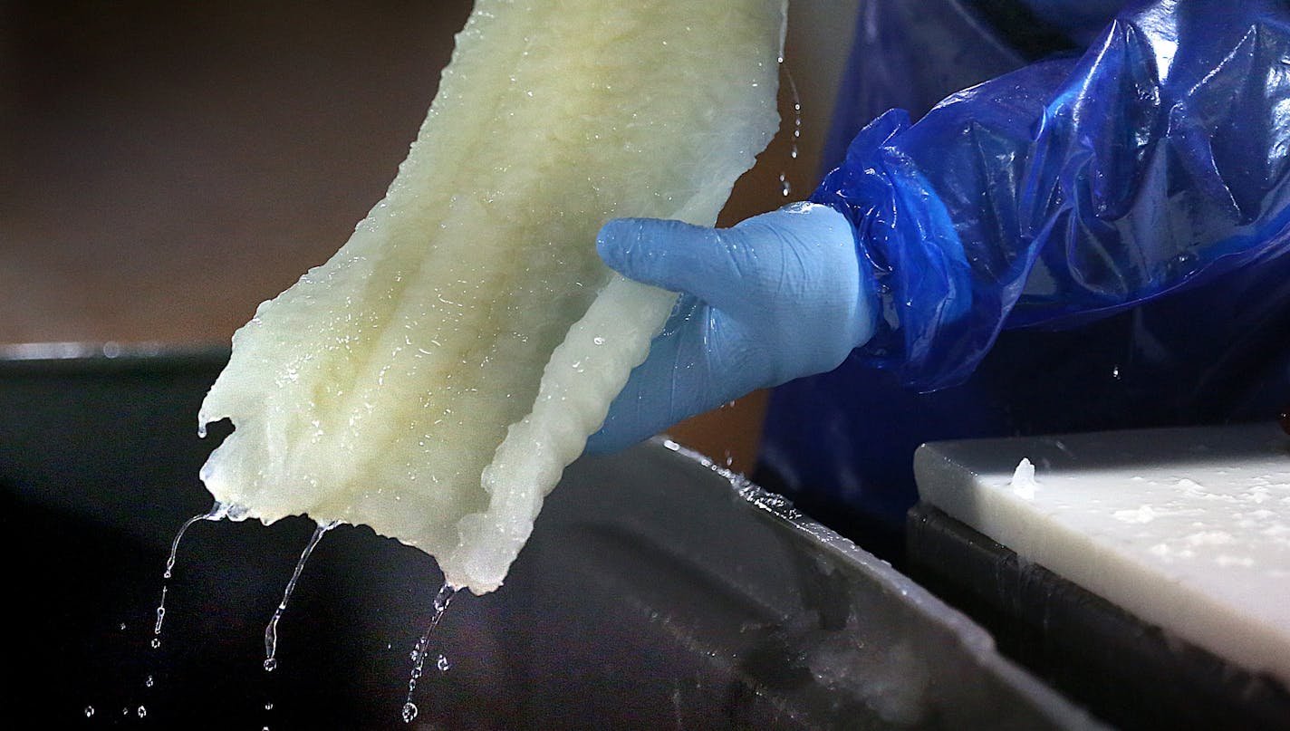 At Olsen Fish Co. in north Minneapolis, dried cod is bathed in a caustic soda to produce lutefisk.