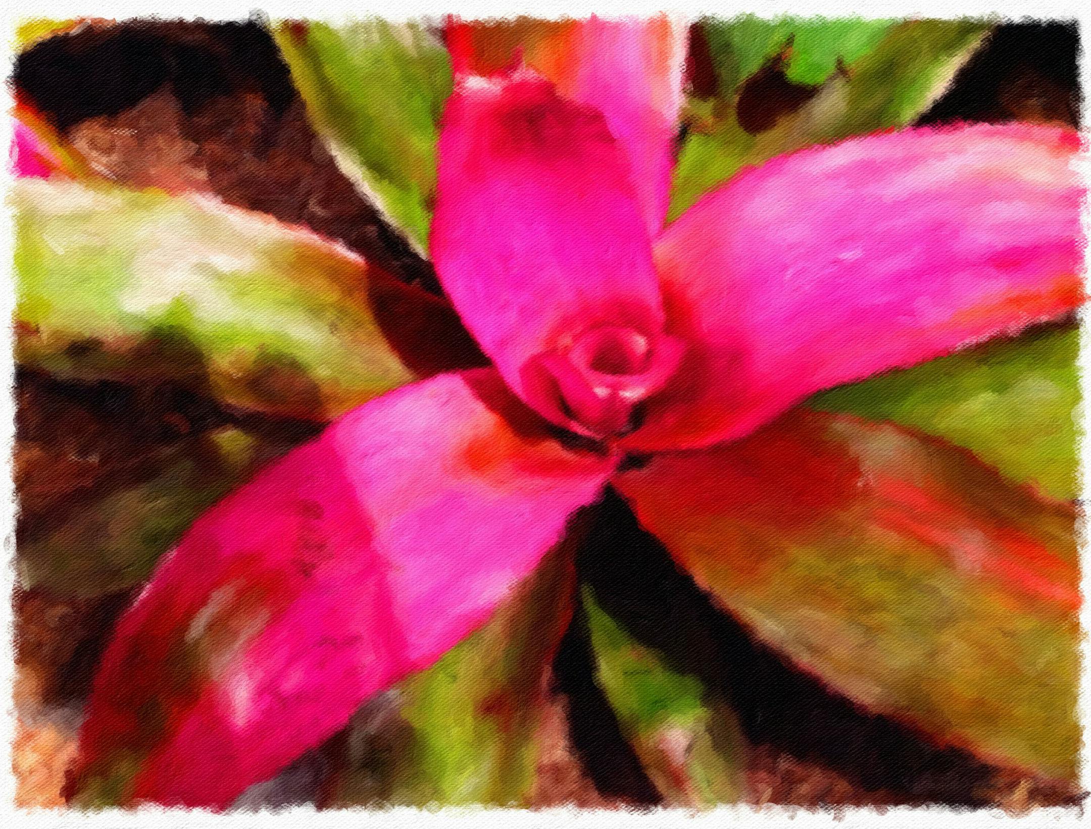 Kim Ode Macy's Flower Show (after photo)