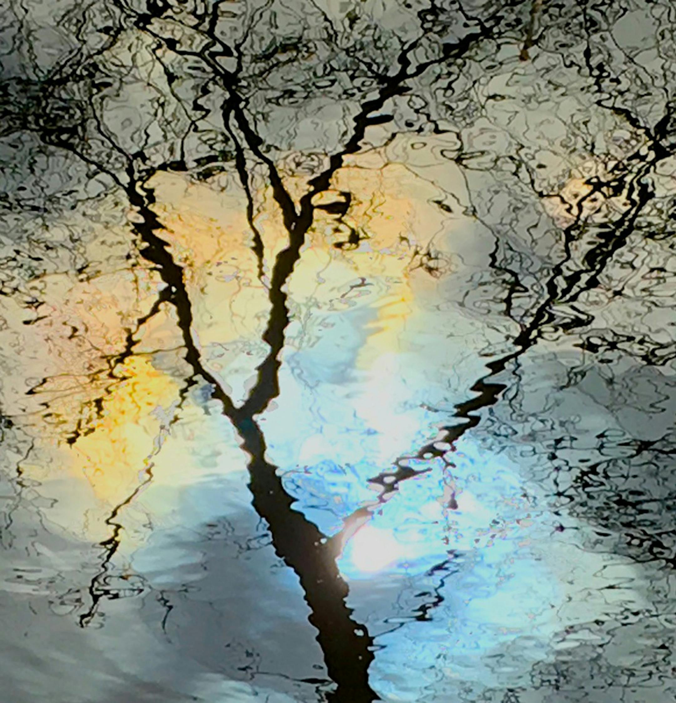 For InFocus feature in Variety: Signs of spring Minnehaha Creek Minneapolis Jana Freiband photographer