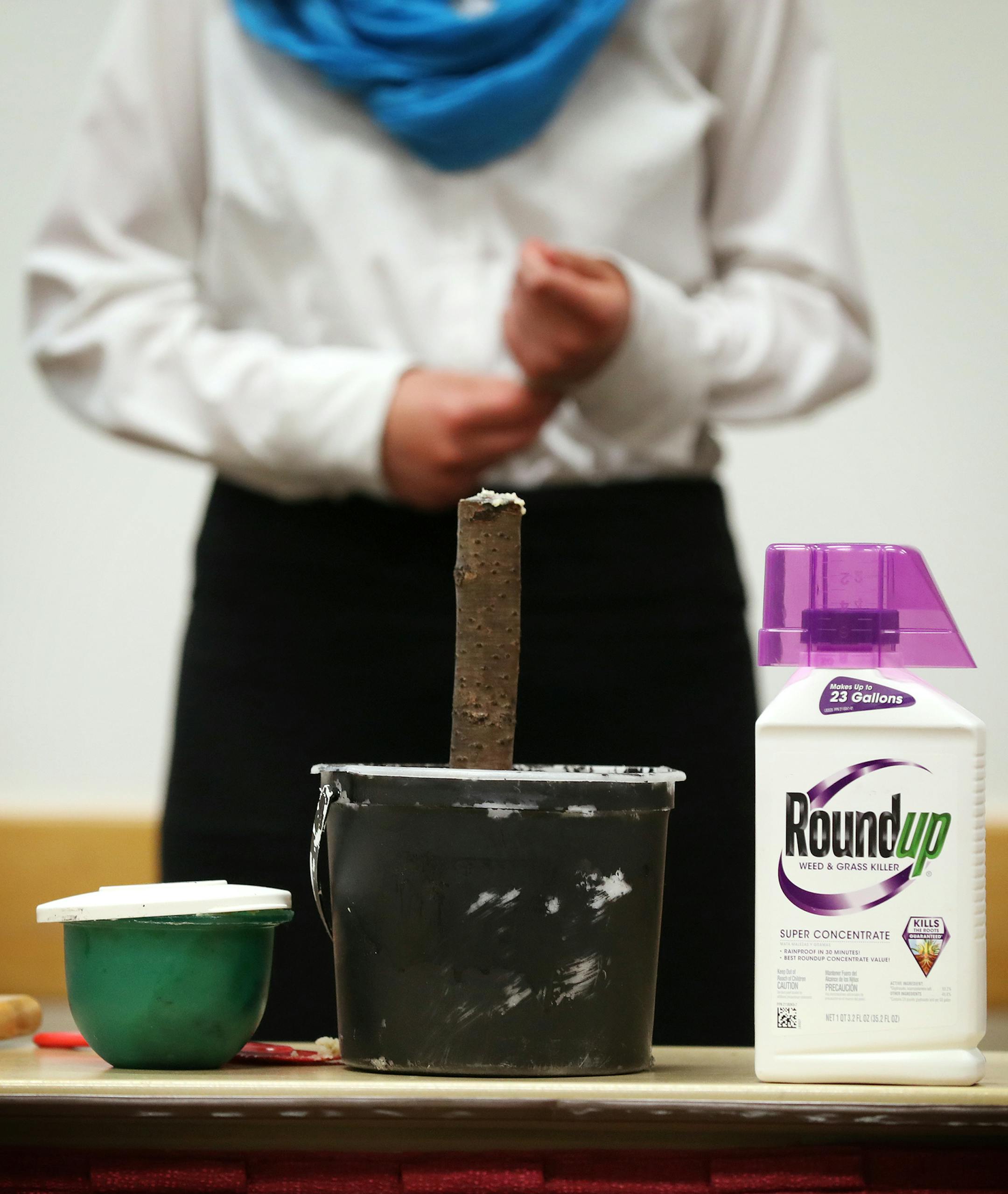 The Anoka County 4-H team gives their presentation on killing buckthorn trees with animal fat with a visual aid. ] (Leila Navidi/Star Tribune) leila.navidi@startribune.com BACKGROUND INFORMATION: The 4-H Science of Agriculture Challenge at the Continuing Education and Conference Center at University of Minnesota Twin Cities in Falcon Heights on Tuesday, June 21, 2016.