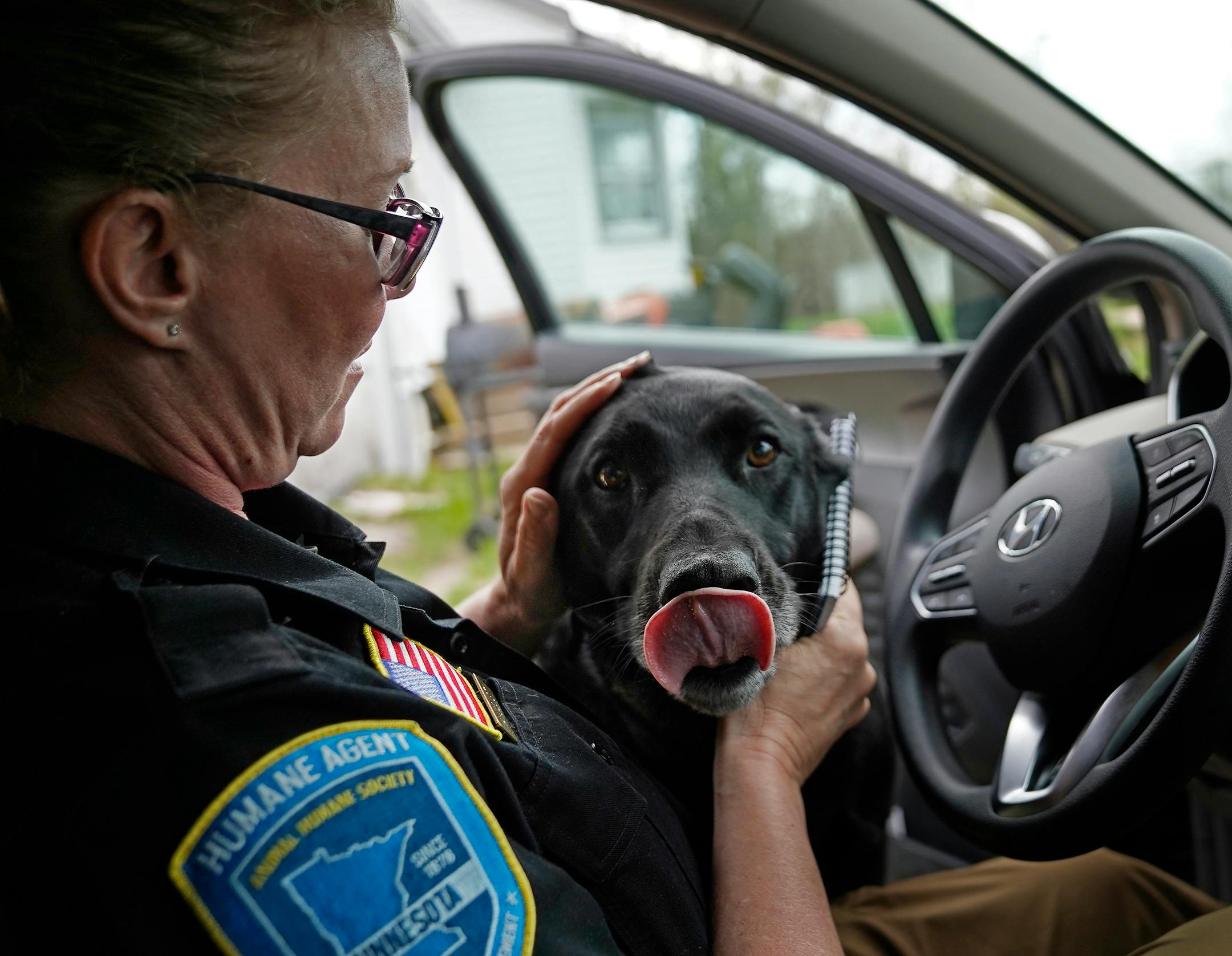 Animal Human Society agent Amanda Oquist rubs the head of a black lab that jumped into her vehicle as she prepared to check on the status of some animals on a farm Wednesday, May 18, 2022, near Eveleth, Minn.