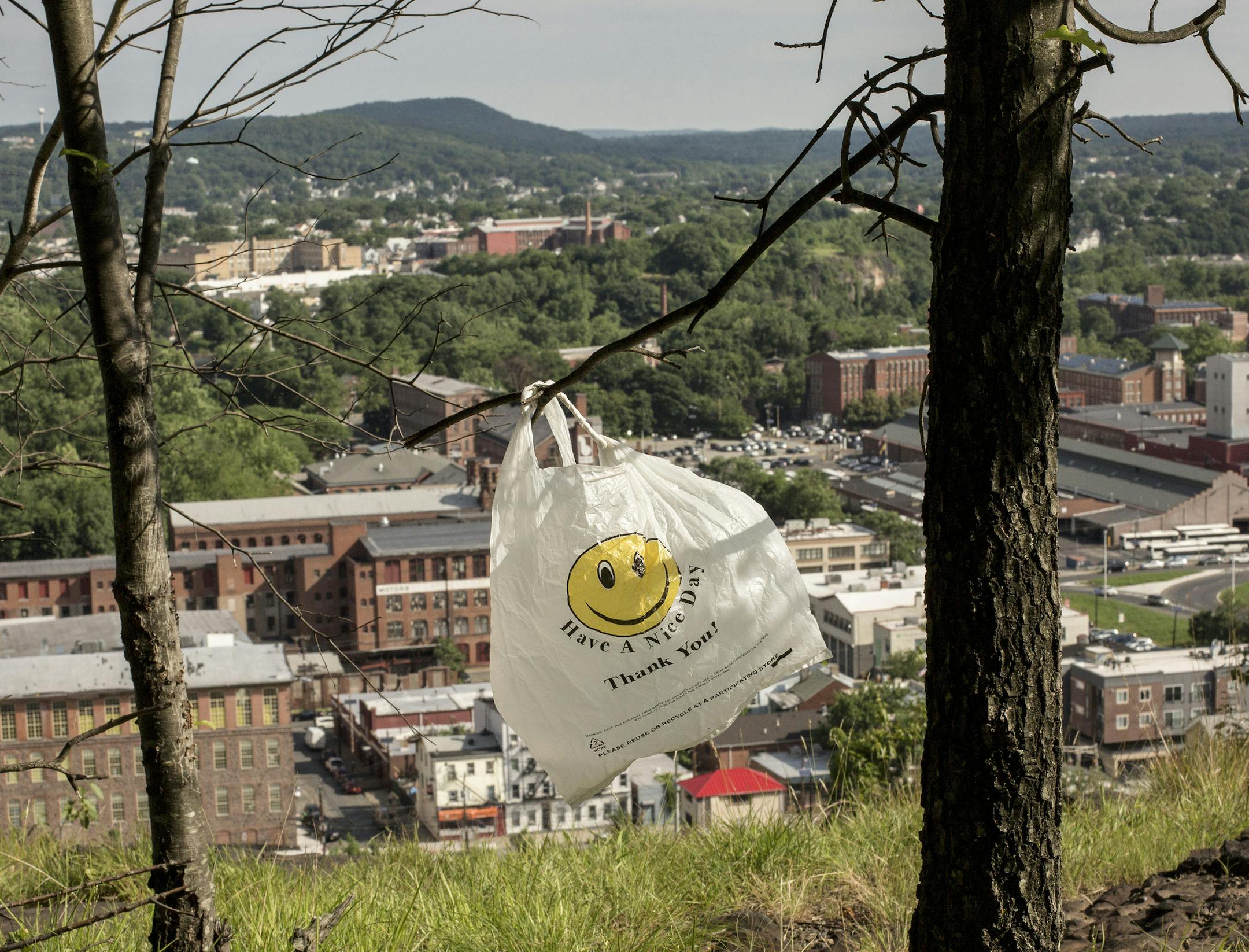 FILE -- A shopping bag clings to a tree in Paterson, N.J., June 22, 2018. The ban on single-use paper bags in grocery stores would be the first of its kind in the country. The state would also join eight others where plastic bags have been banned. (Bryan Anselm/The New York Times)