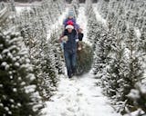 A family carrying their seven and a half foot Balsam Fir.