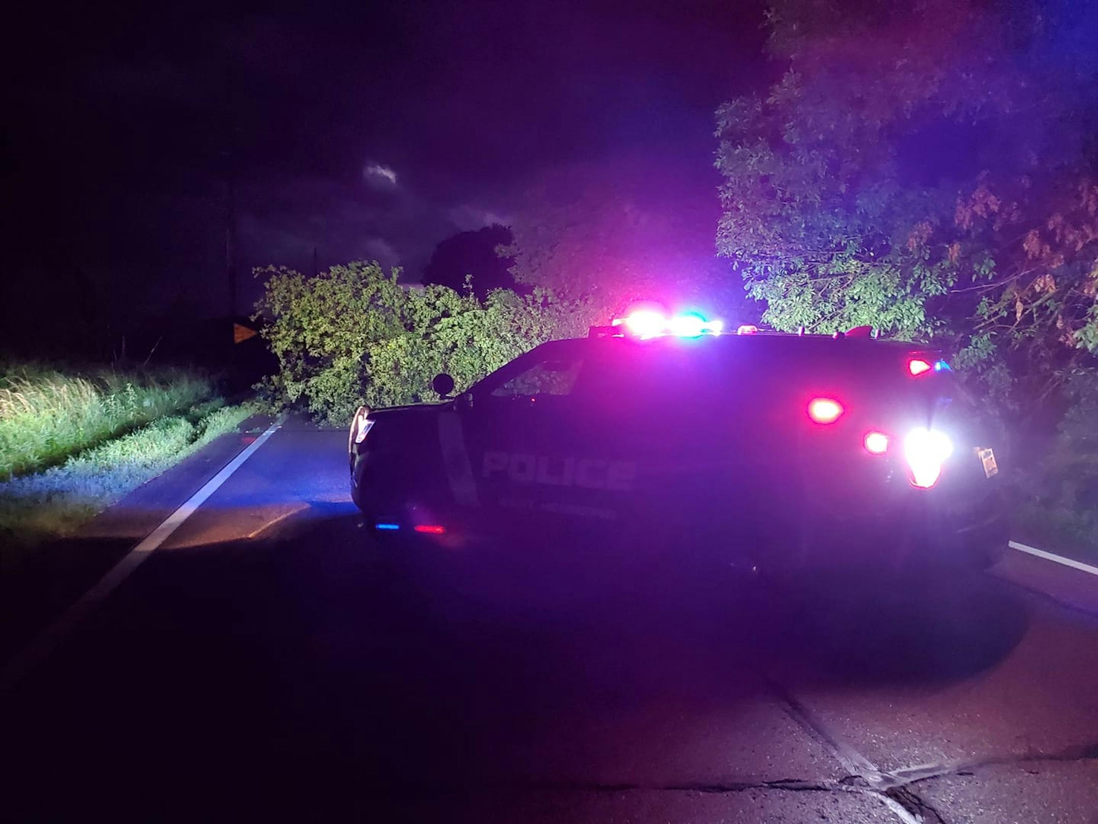 A downed tree briefly blocked County Road 92 between Hwy. 12 & County Road Sunday night.