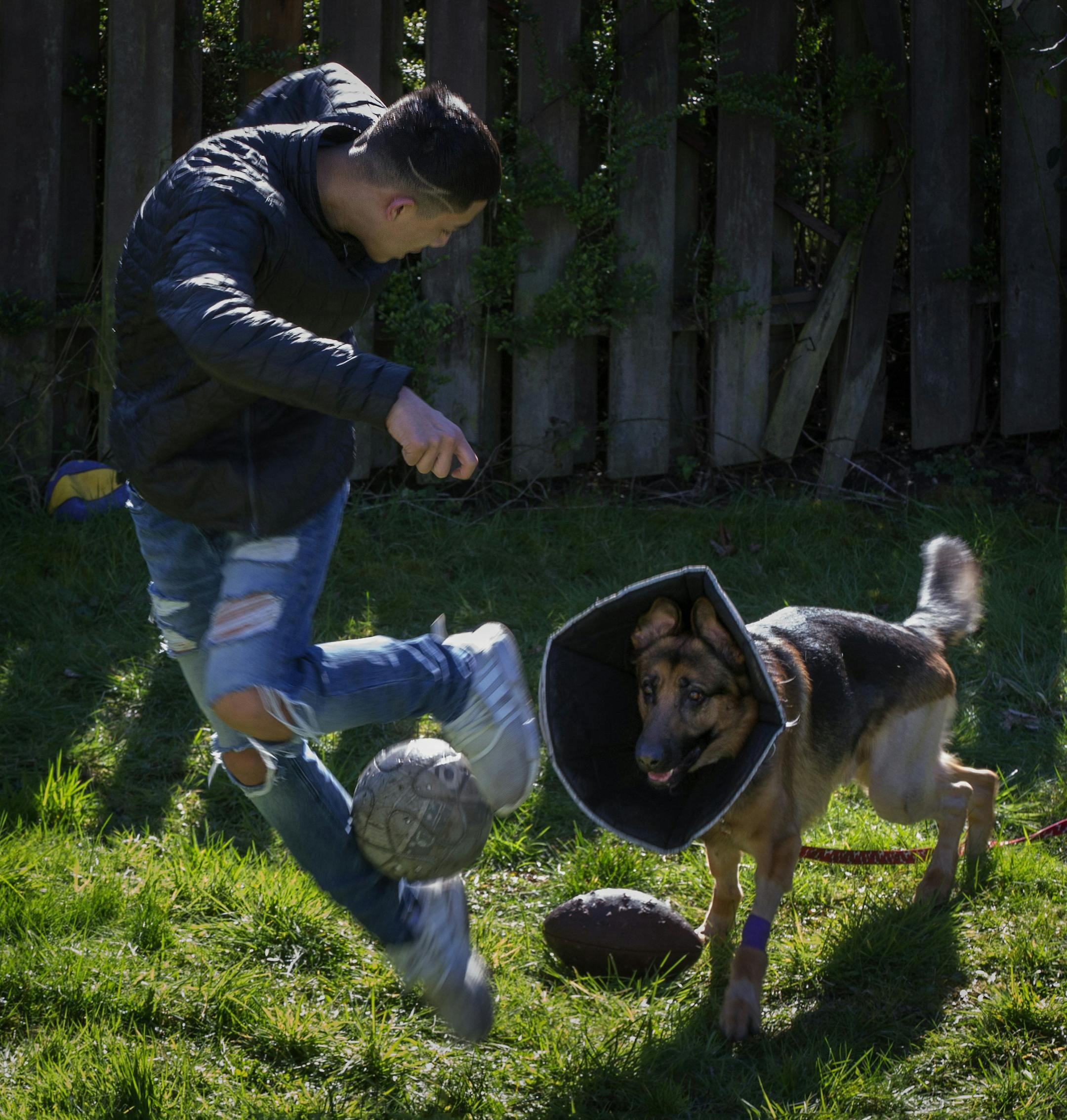 Javier Mercado, 16, and Rex are both recovering after a home invasion in Des Moines.