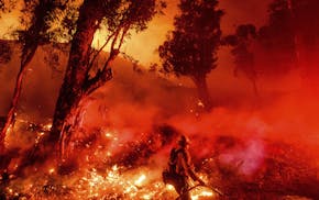 Flames from a backfire consume a hillside as firefighters battle the Maria Fire in Santa Paula, Calif., on Friday, Nov. 1, 2019. According to Ventura 