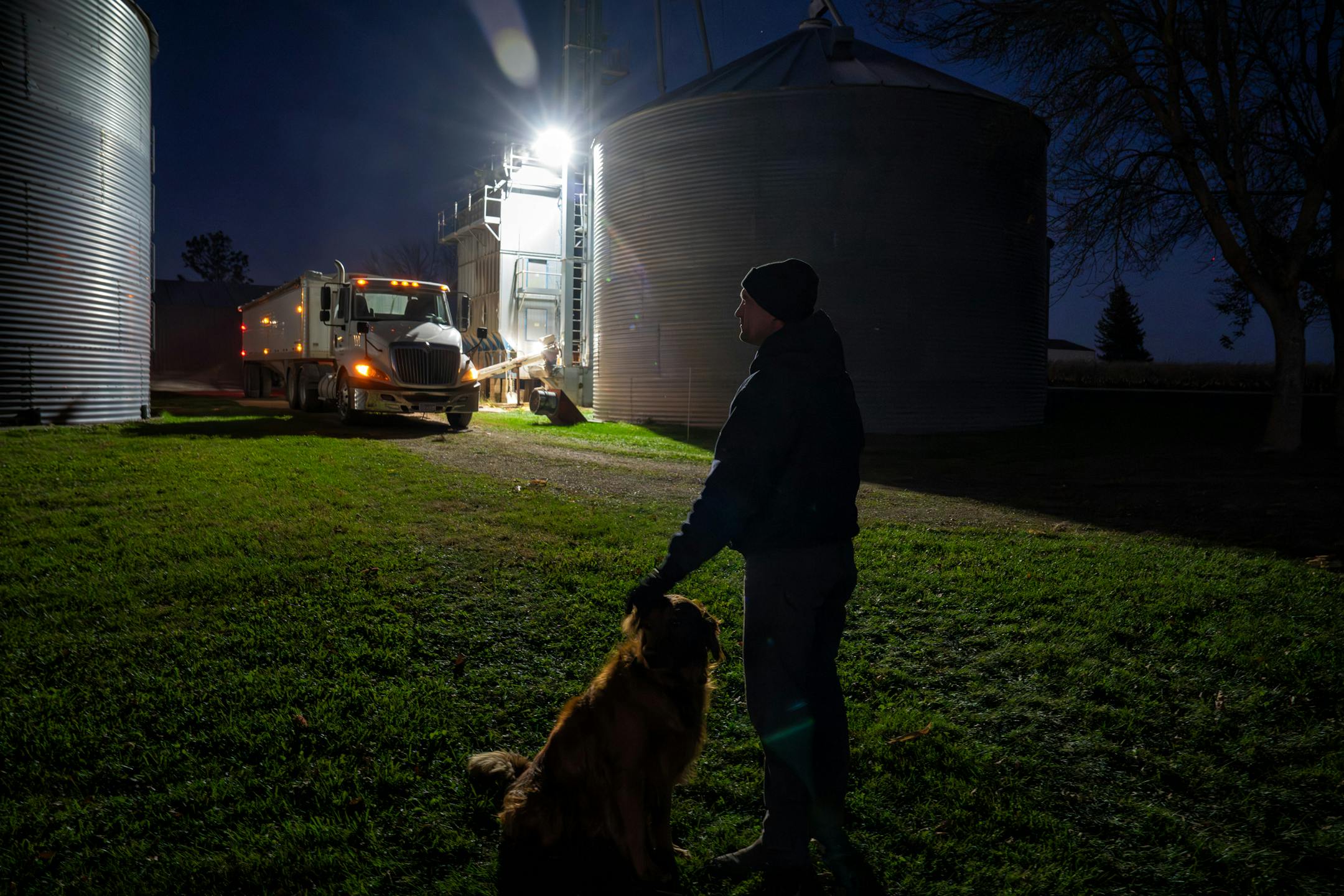 Ben Johnson and his dog Parker wait in front of a semi trailer poised to take another load of corn into Kenyon during the 2025 harvest.
Wednesday October 22, 2025 

Glen Stubbe for The Minnesota Star Tribune