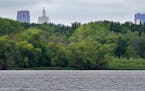 With downtown St. Paul barely visible, Pigs Eye Lake is the largest public green spaces in St. Paul you've probably never heard of or visited. A backw