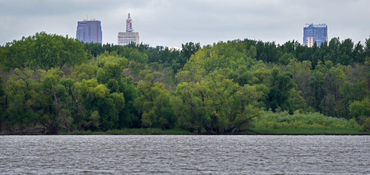 With downtown St. Paul barely visible, Pigs Eye Lake is the largest public green spaces in St. Paul you've probably never heard of or visited. A backwater of the Mississippi, and the 500+ acre adjacent park will now get a multimillion-dollar rehab thanks to city, county and federal dollars. The first work to be done: $12 million to build a series of islands to improve water habitat. ]