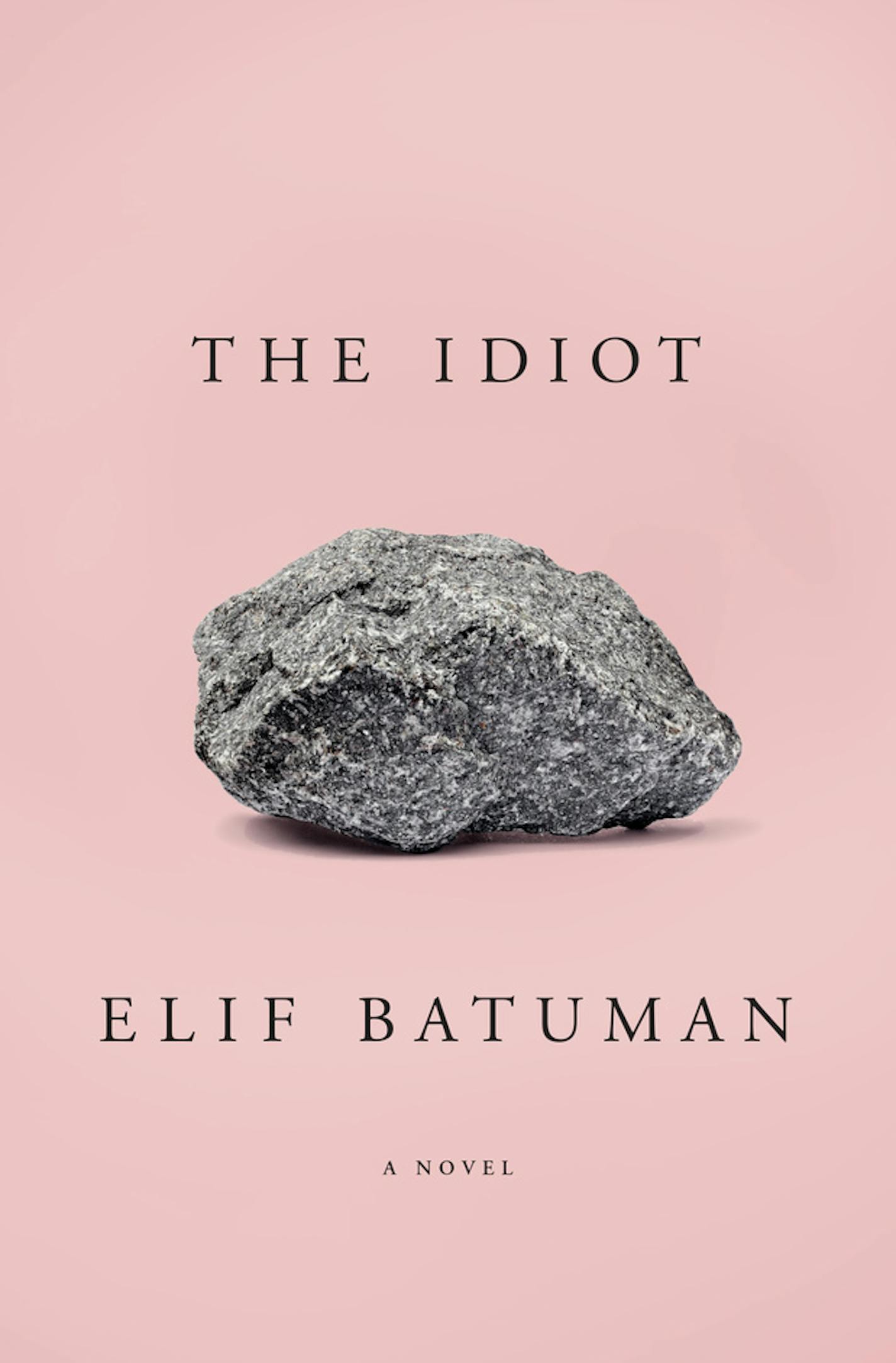 "The Idiot," by Elif Batuman