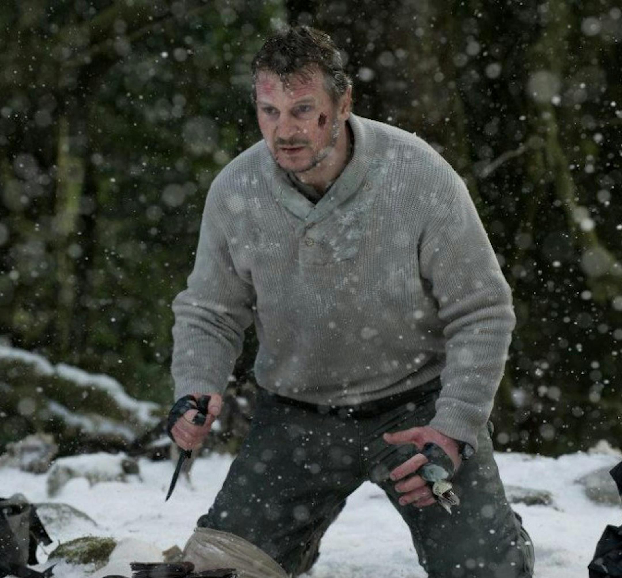Liam Neeson in "The Grey"