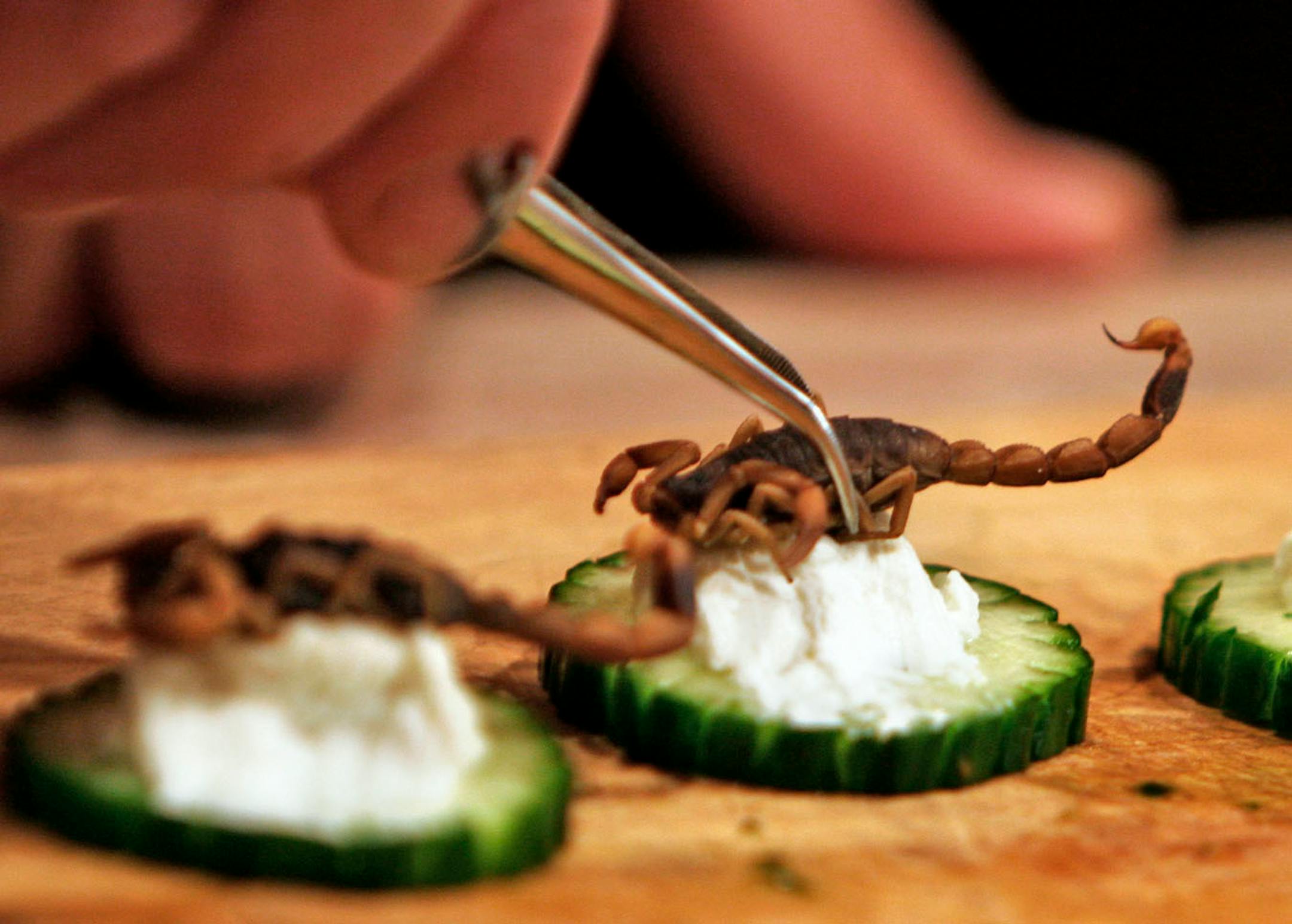 Gene Rurka places a scorpion on an herbed cream cheese and cucumber crudite on his farm in New Jersey for Andrew Zimmern's new Travel Channel show Bizarre Foods.