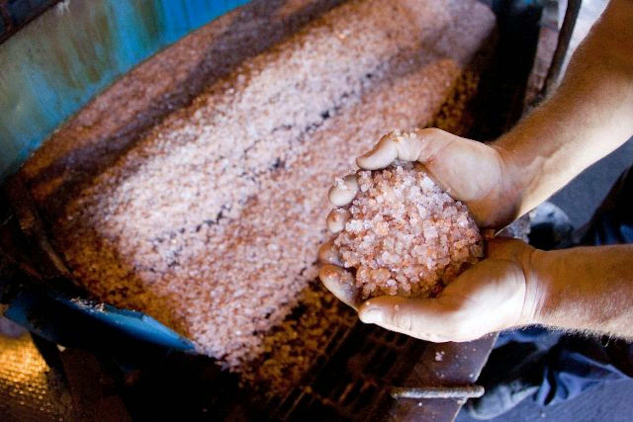 Mosaic co. potash