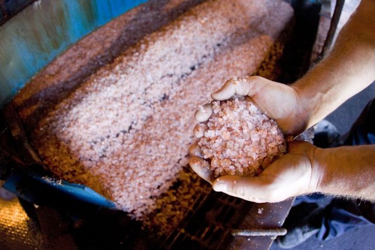 Mosaic co. potash