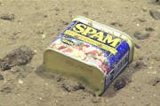 A container of Spam, seen resting at 4,947 meters on the slopes of a canyon leading to the Sirena Deep in the Mariana Trench.