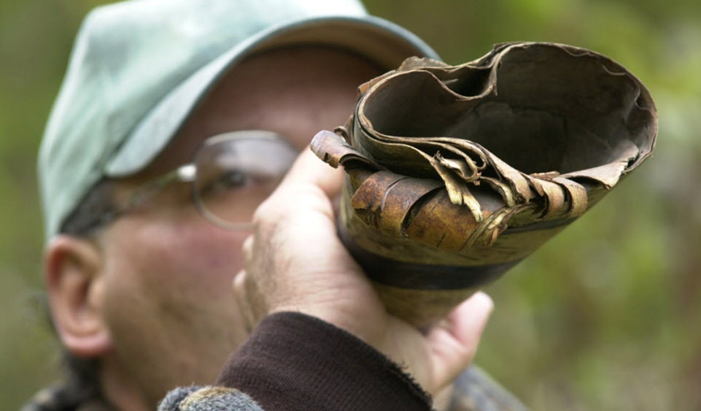 A hunter tries using a moose call in the woods.