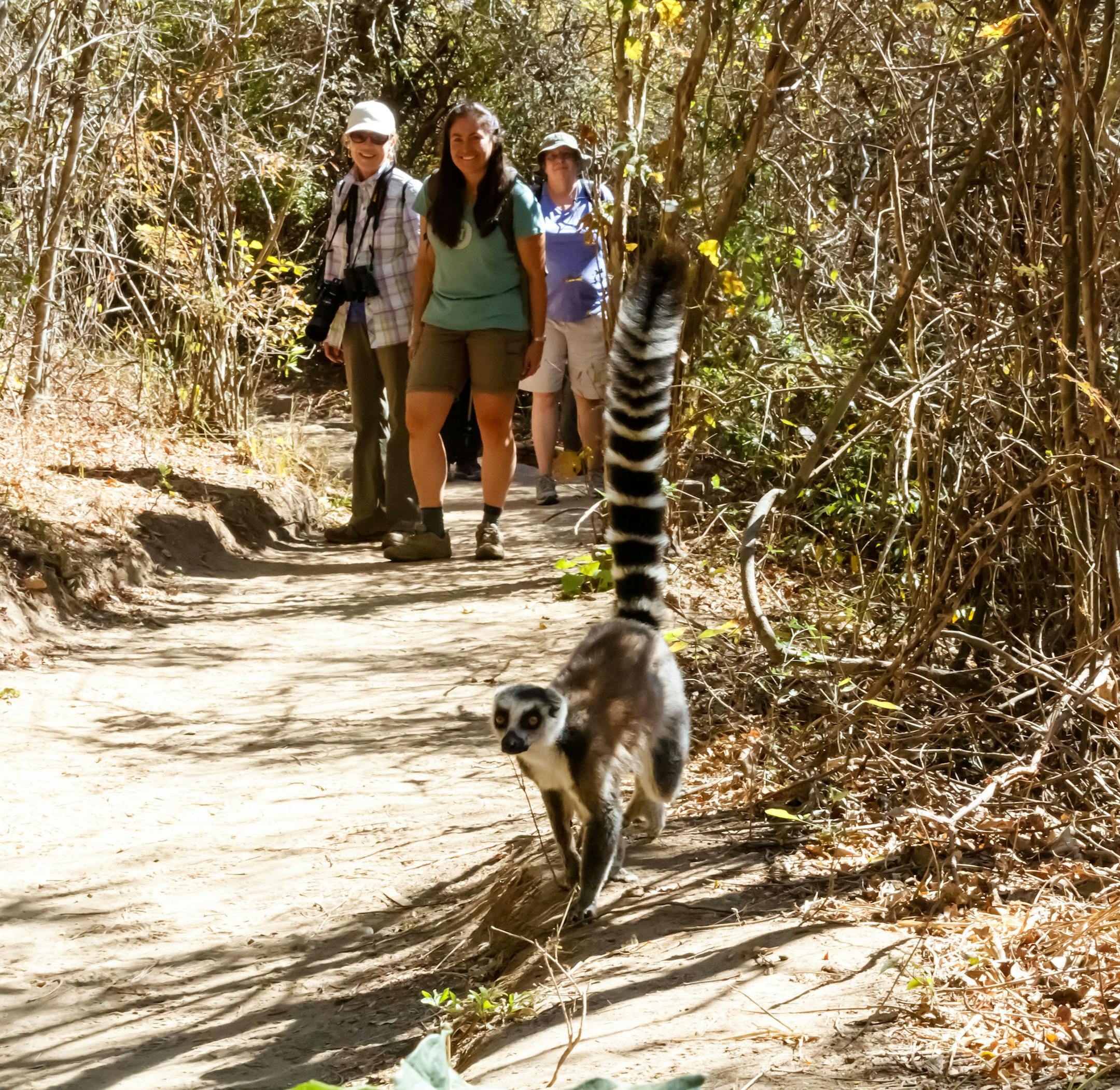 Lemur lovers with a robust travel budget should check out Natural Habitat Adventures' trip in Madagascar, starting at $9,995 a person. (Alek Komarnitsky/Natural Habitat Adventures/TNS)