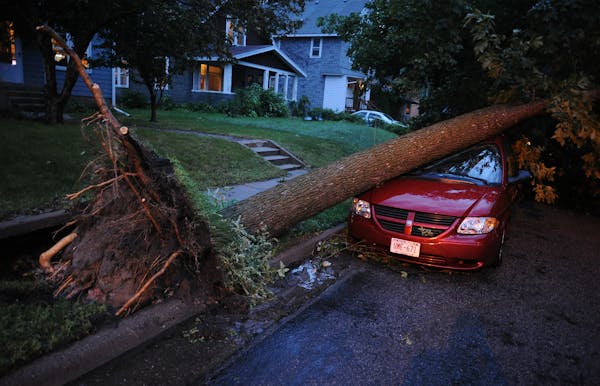 A downed tree rests on a car on the 1000 block of 21st Ave SE after a wave of severe storms moved through the area in Minneapolis on June 21, 2013. (S