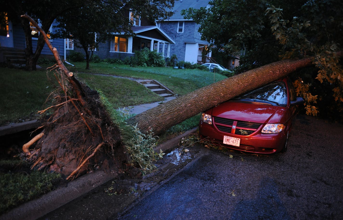 A downed tree rests on a car on the 1000 block of 21st Ave SE after a wave of severe storms moved through the area in Minneapolis on June 21, 2013. (Star Tribune/Mark Vancleave mark.vancleave@startribune.com)