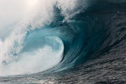 Catching the Ninth Wave is hard work, the same kind of preparation and relationship-building needed to build sales in business.