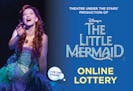 Weekend deals: MN Zoo (adults only) and "The Little Mermaid"