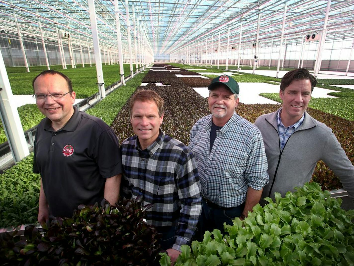 Revol Greens is a new competitor to the California greens market and is growing five varieties of lettuce in greenhouses only an hour's drive south of Minneapolis at a fraction of the transportation costs. Here, Revol Greens partners Marco de Bruin, left to right, Jay Johnson, Steve Anderson and Brendon Krieg seen in the green house Tuesday, Feb. 13, 2018, in Medford, MN.