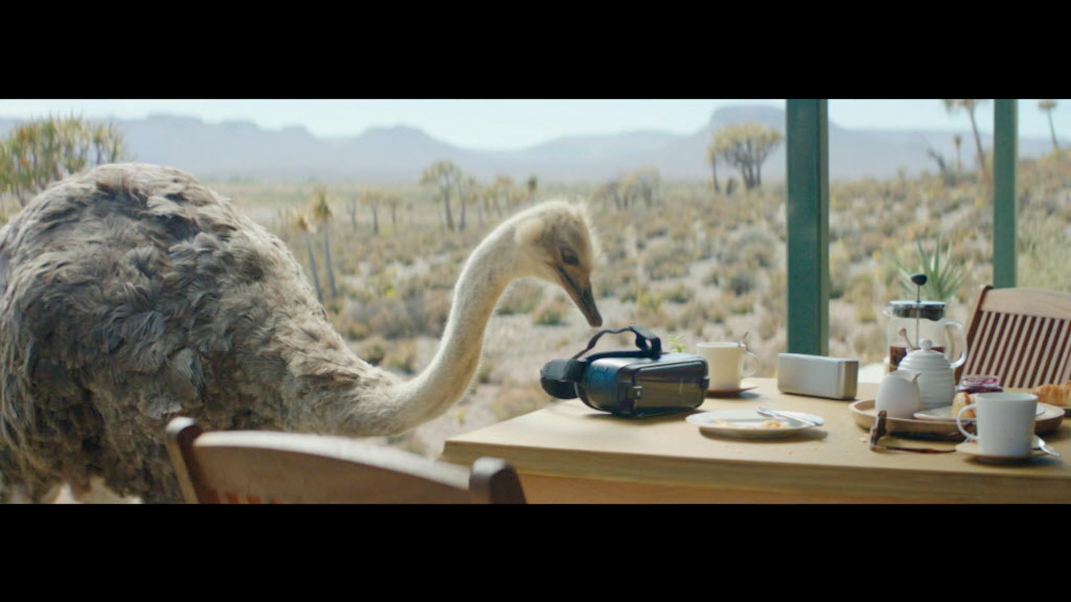 Matthijs van Heijningen's "Ostrich" ad for Samsung.