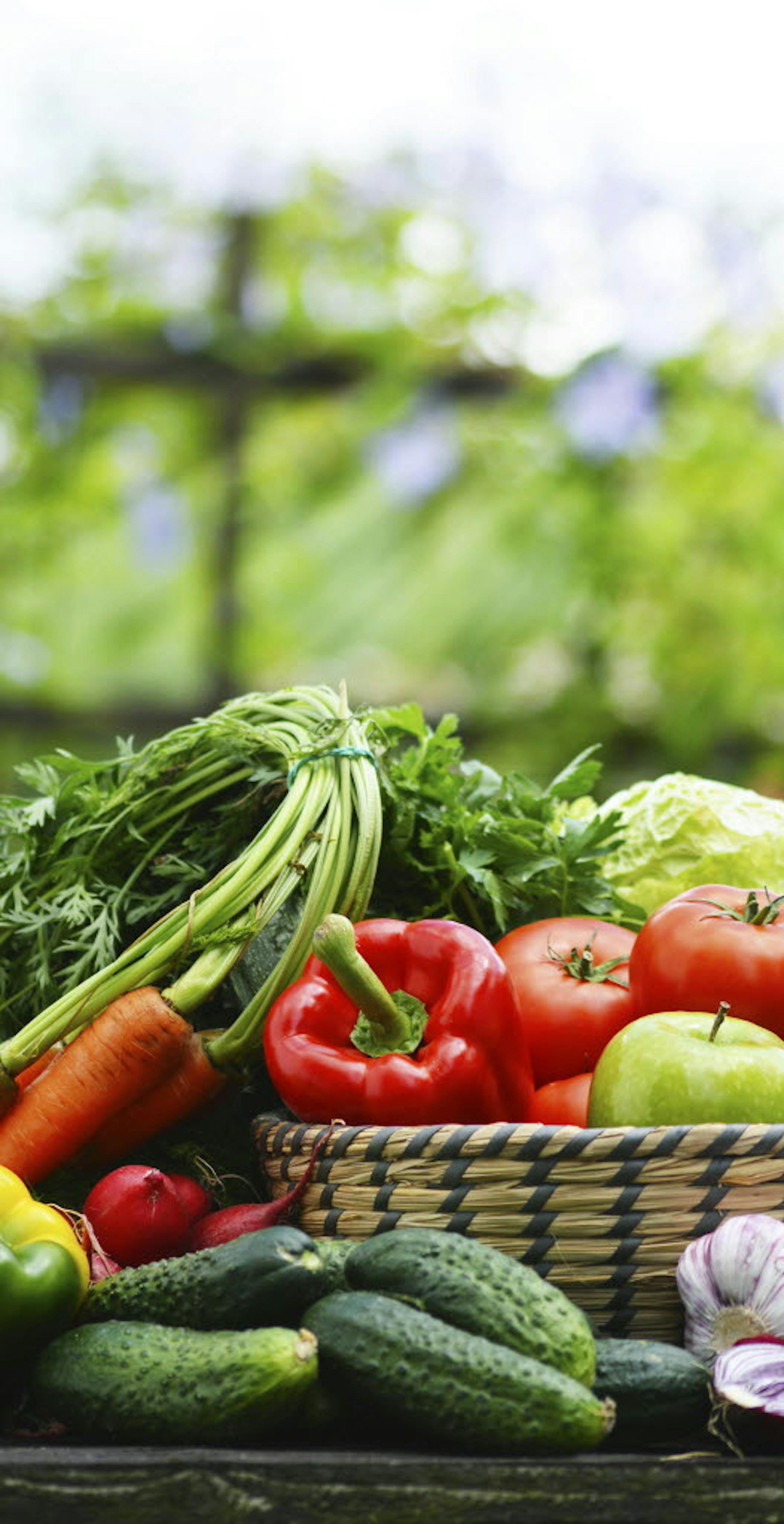 Planning Your Edible Garden at Bachmans.