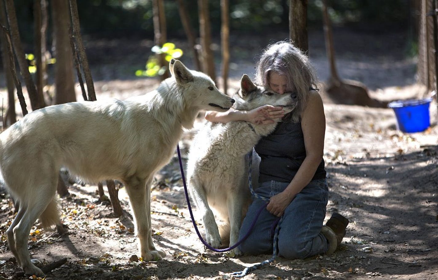 Brandi Tracy, who operates Braveheart Rescue, played with dogs in her care that had been abused before arriving at her shelter. With Tracy are Nova (right) and Alyria. Tracy described the dogs as husky, shepherd mixes.