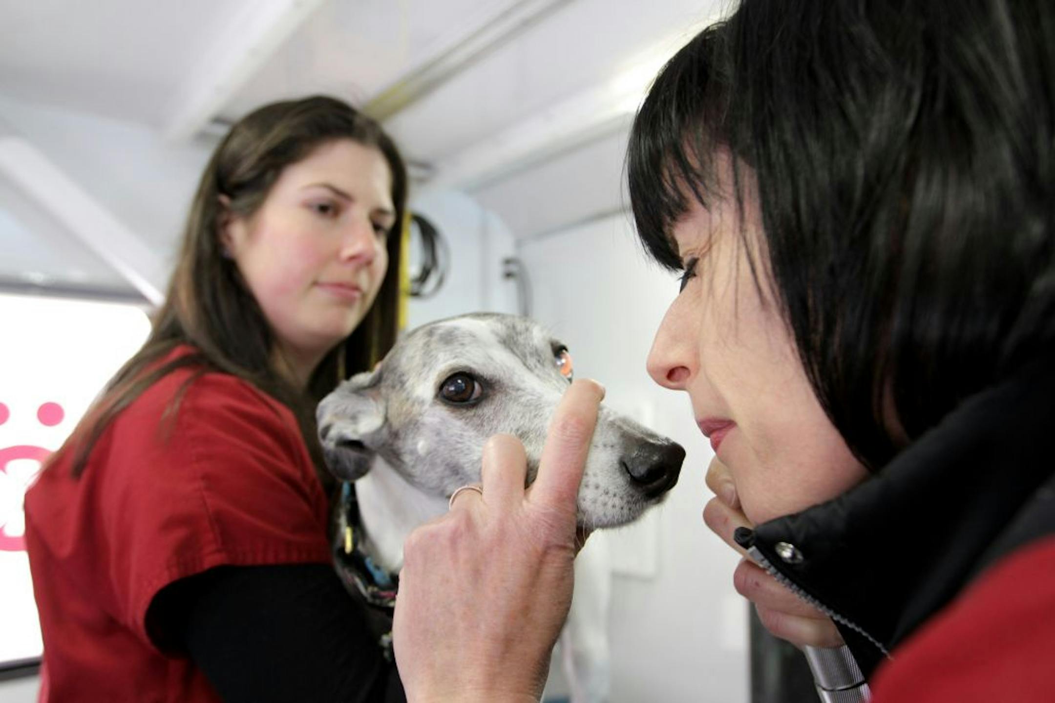 Michele Turrentine held Cricket while veterinarian Christa Williams checked his eyes inside her Caravan Vet truck, a new mobile vet clinic in the metro area.