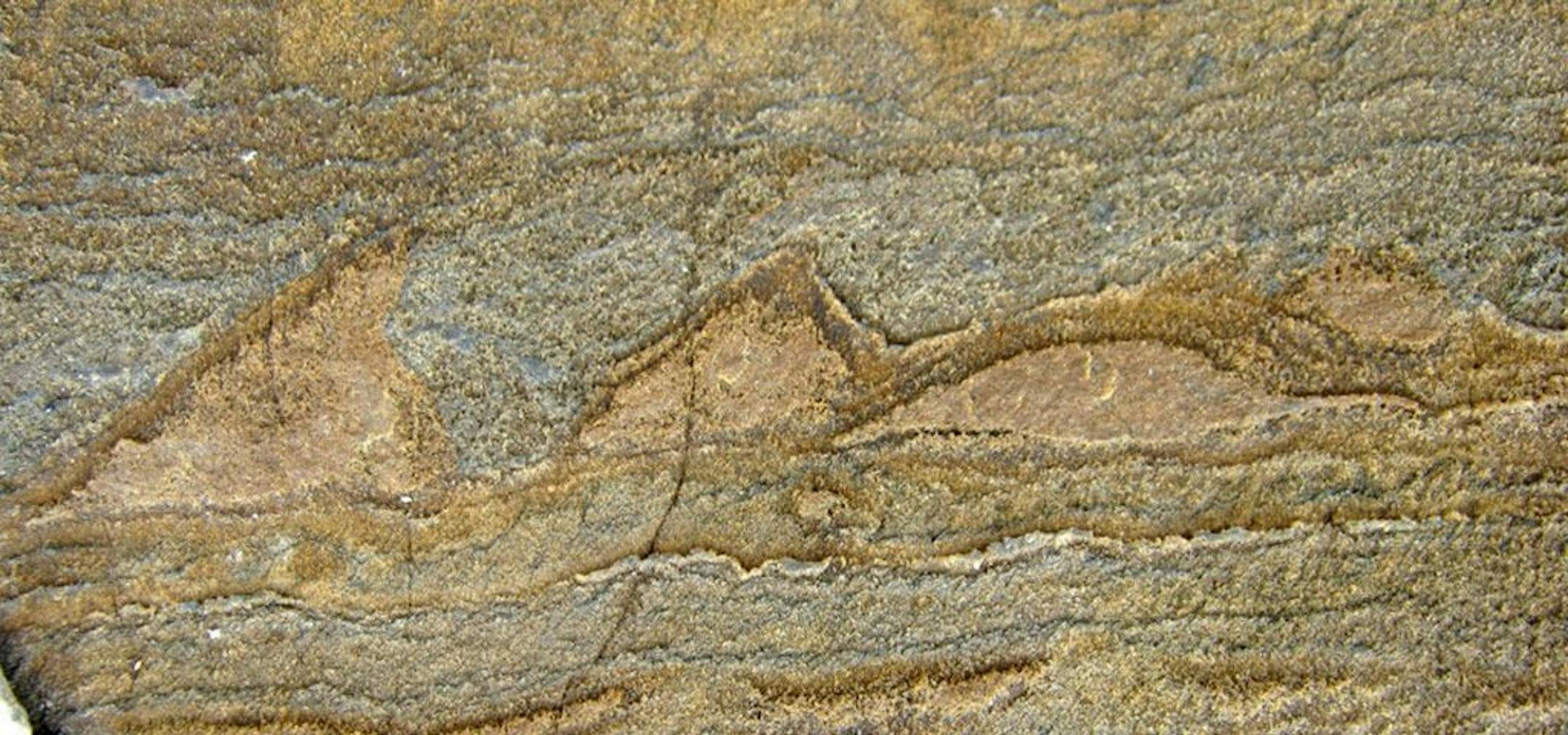 In this photo provided by Allen Nutman, a rock with the stromatolites, tiny layered structures from 3.7 billion years ago that are remnants from a community of microbes that used to be live there. Scientists have found what they think is the oldest fossil on Earth, a remnant of life from 3.7 billion years ago when Earth�s skies were orange and its oceans green. In a newly melted part of Greenland, Australian scientists found the leftover structure from a community of microbes that lived on an an