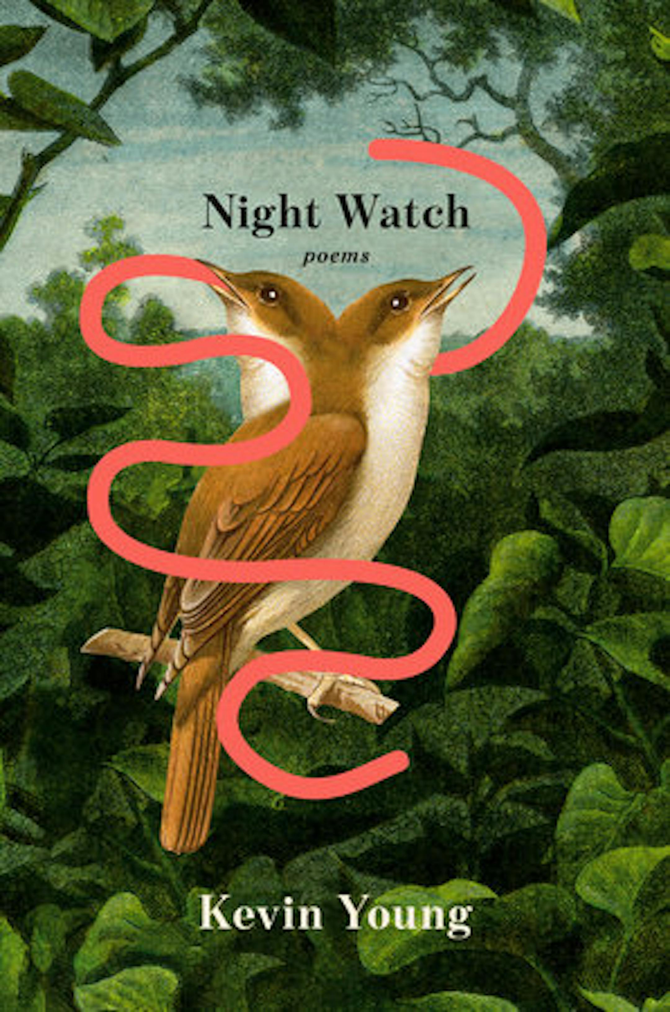 cover of Night Watch is a painting of two birds in a tree