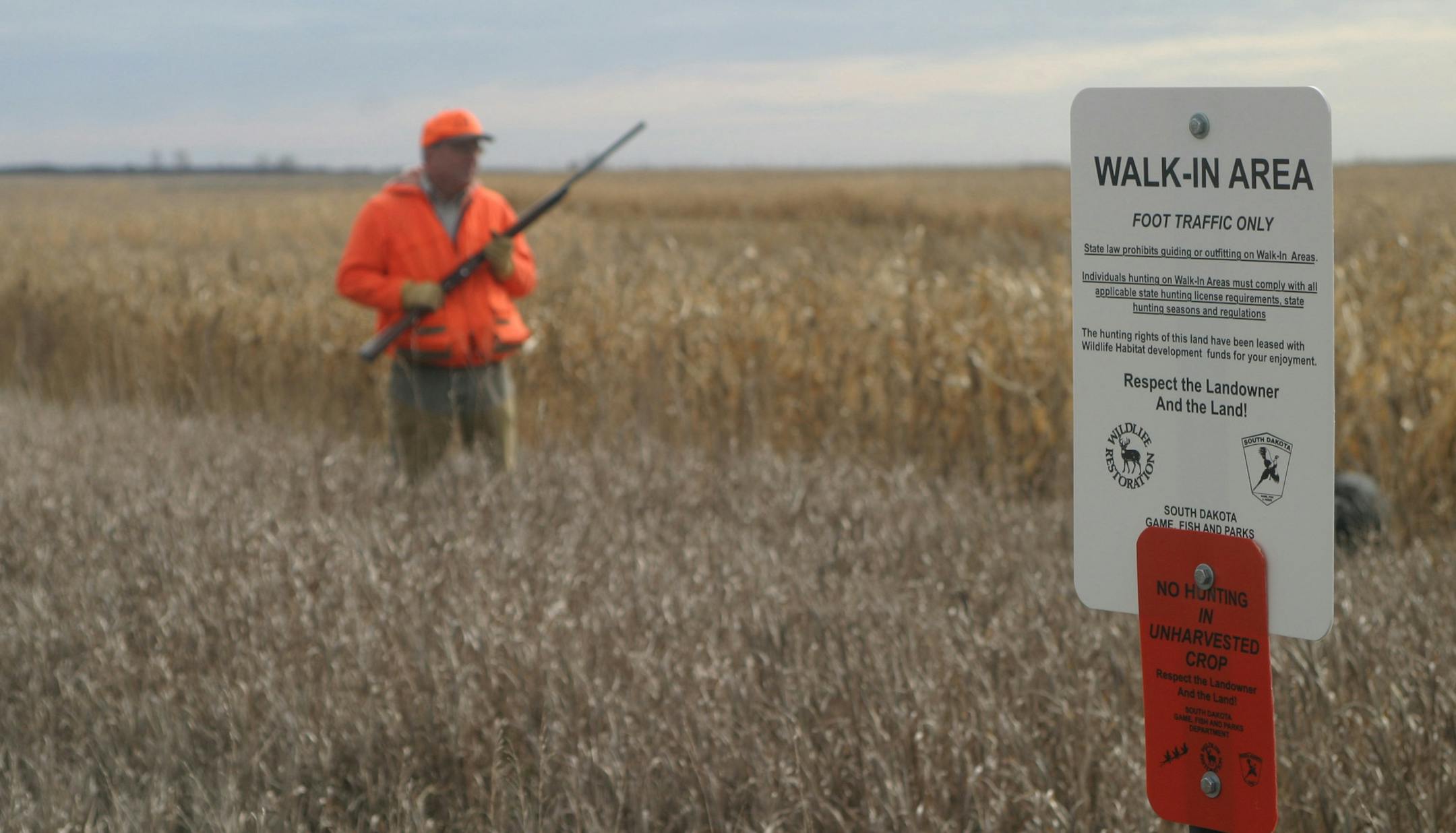 Doug Smith/Star Tribune South Dakota's walk-in hunting program has proven very popular with hunters. Under the program, the state pays landowners to open their lands to public hunting. ORG XMIT: MIN2013092615294883