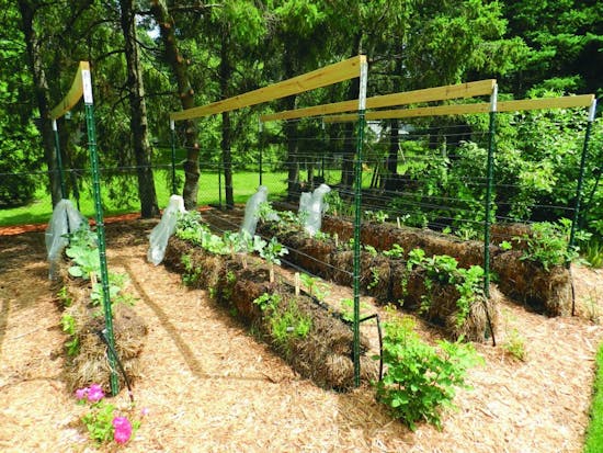 Straw Bale Gardening Can Increase Your