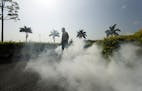 A health ministry worker fumigates for Aedes aegypti mosquitoes where carnival celebration will be held in Panama City, Tuesday, Feb. 2, 2016. Authori