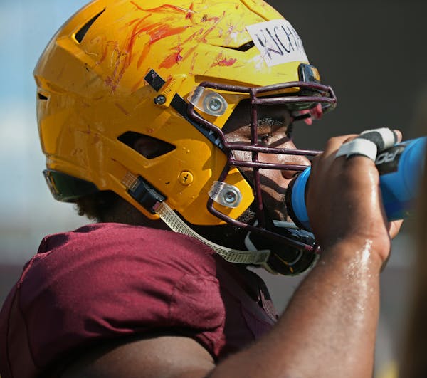 Defensive tackle Steven Richardson was one of 11 former Gophers attending Wednesday's Pro Day at the Athletes Village indoor practice facility.