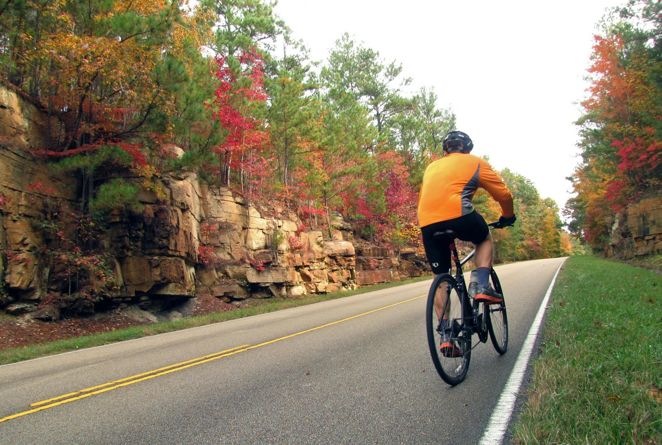 These are all my husband, Ed, biking along various stretches of the Trace. (If you need to have some idea where we were