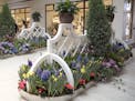 Dale Bachman gives us a tour of the Bachman's/Galleria flower show "Spring is in the Air." [ Saxo #1005666928 flowers032718