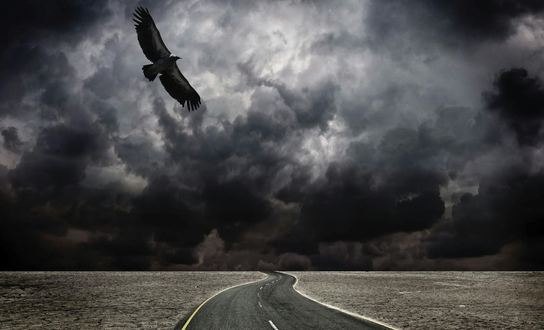 iStockphoto.com
