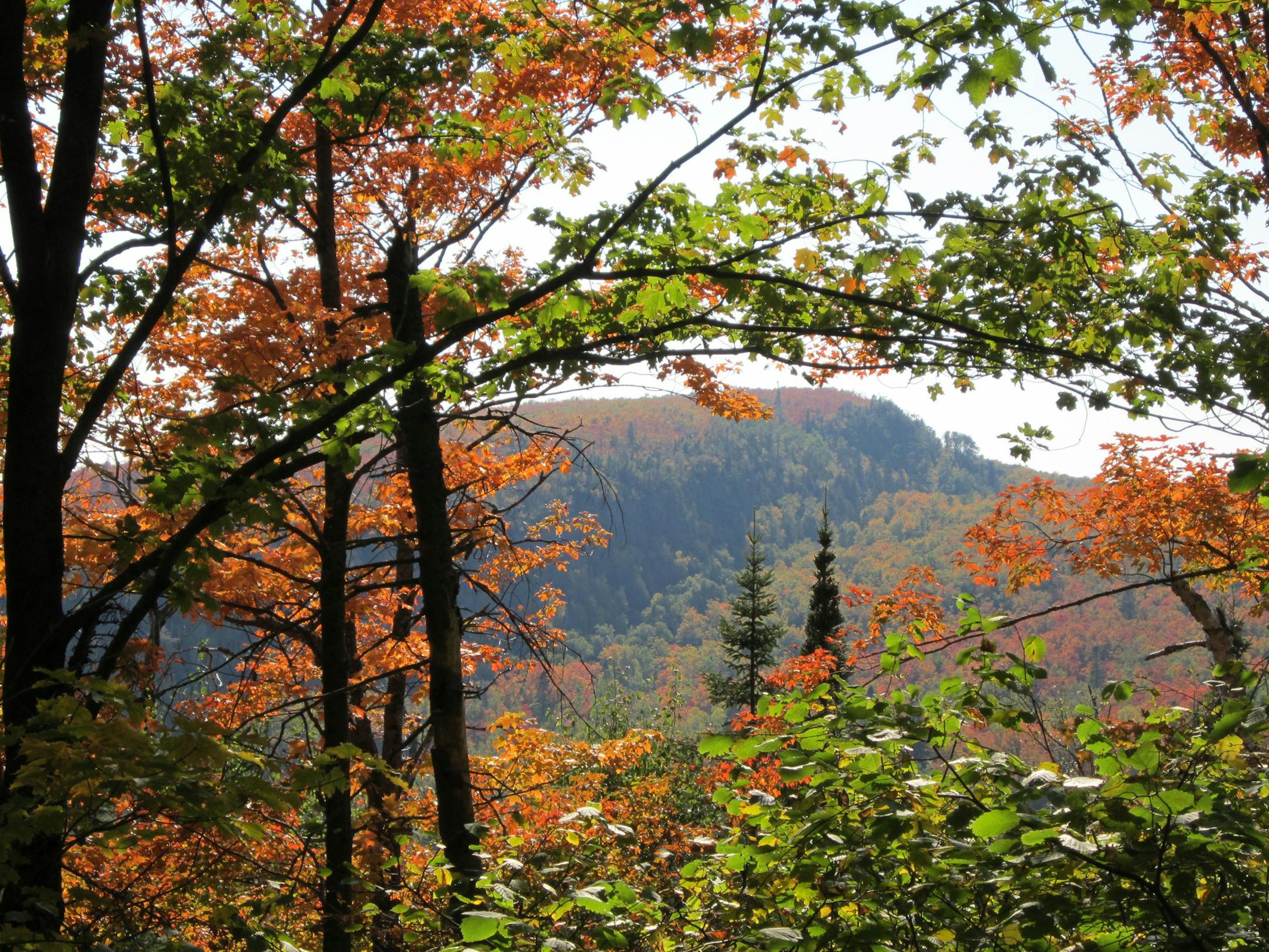 Oberg Mountain Trail.