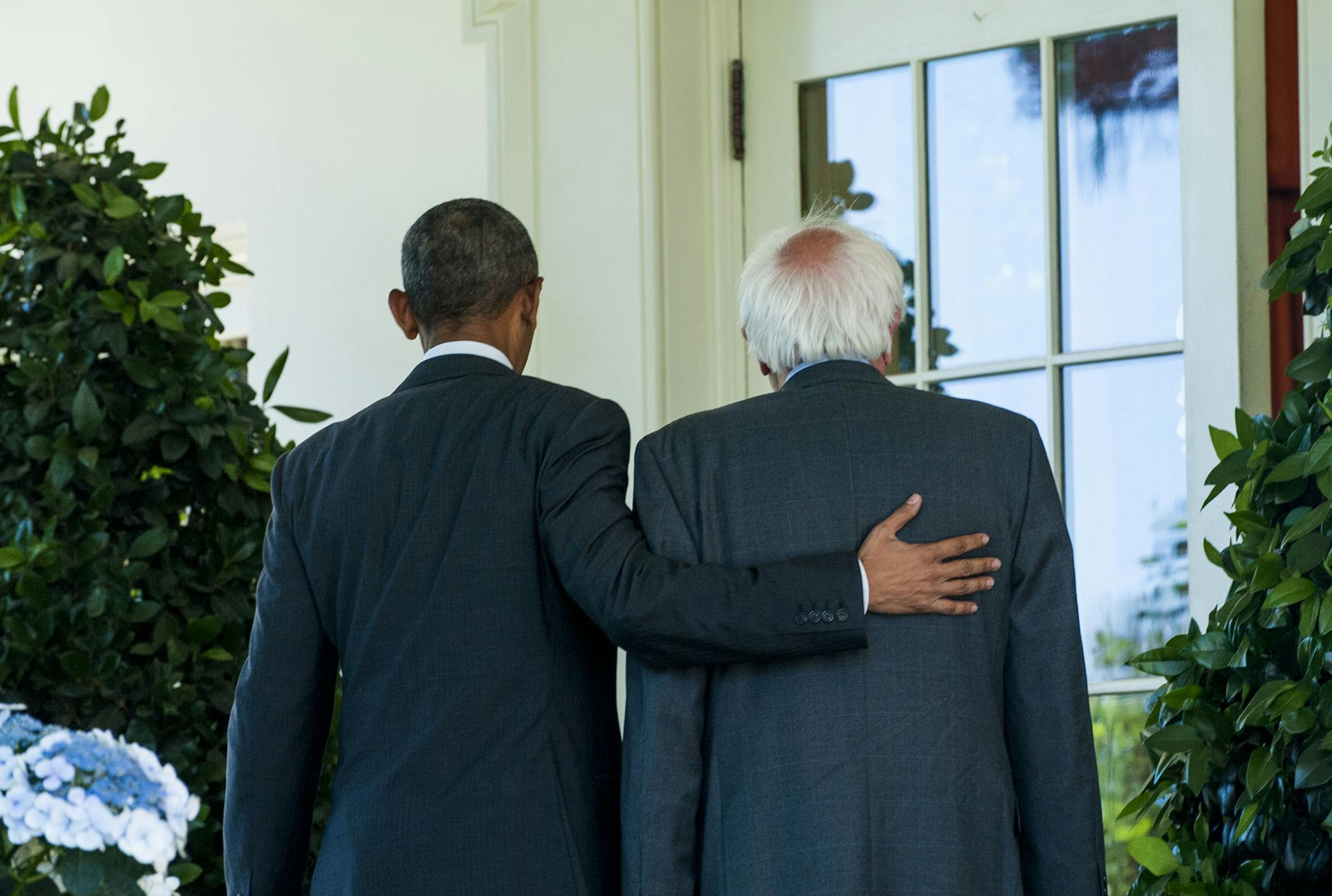 President Barack Obama and Sen. Bernie Sanders walk along the colonnade adjacent to the Rose Garden at the White House on Thursday, June 9, 2016, in Washington, D.C. Sanders was meeting with Obama in the Oval Office to discuss the campaign. (Pete Marovich/Abaca Press/TNS)