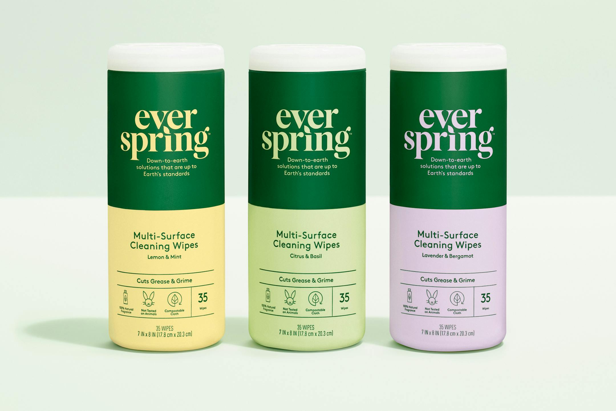 Target Corp. launched a line of earth-friendly products on April 22, 2019 called Everspring. It is one of the Minneapolis-based retailer's first major foray into the natural products space, which has grown by double digits since 2016.